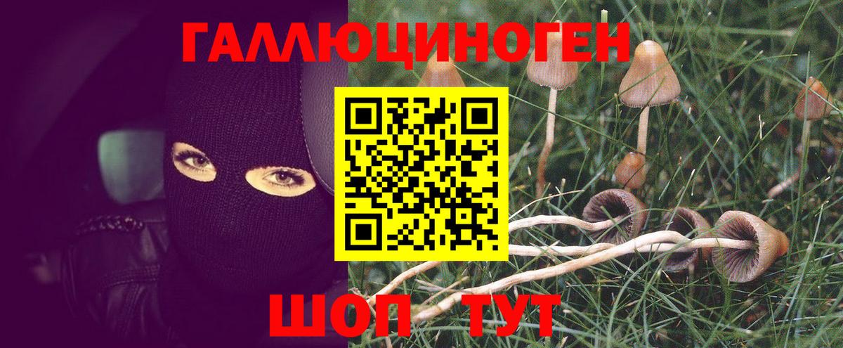 Видное  Псилоцибиновые грибы ЛСД  Псилоцибиновые грибы Magic Shrooms  Вход с VPN 