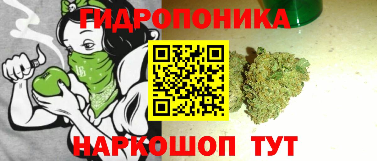 Бошки марихуана White Widow  Каннабис Bruce Banner  Видное  Вход с VPN  Каннабис план 